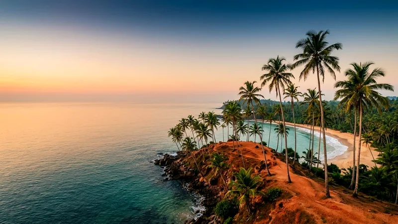 Leaning palm trees on Coconut Tree Hill above a calm turquoise bay at sunrise.