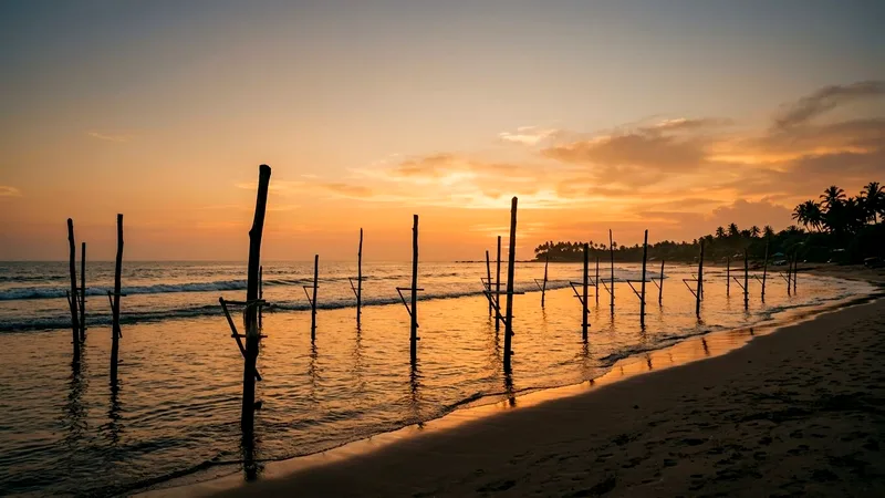 Empty wooden stilt-fishing poles standing in shallow sea at sunset.